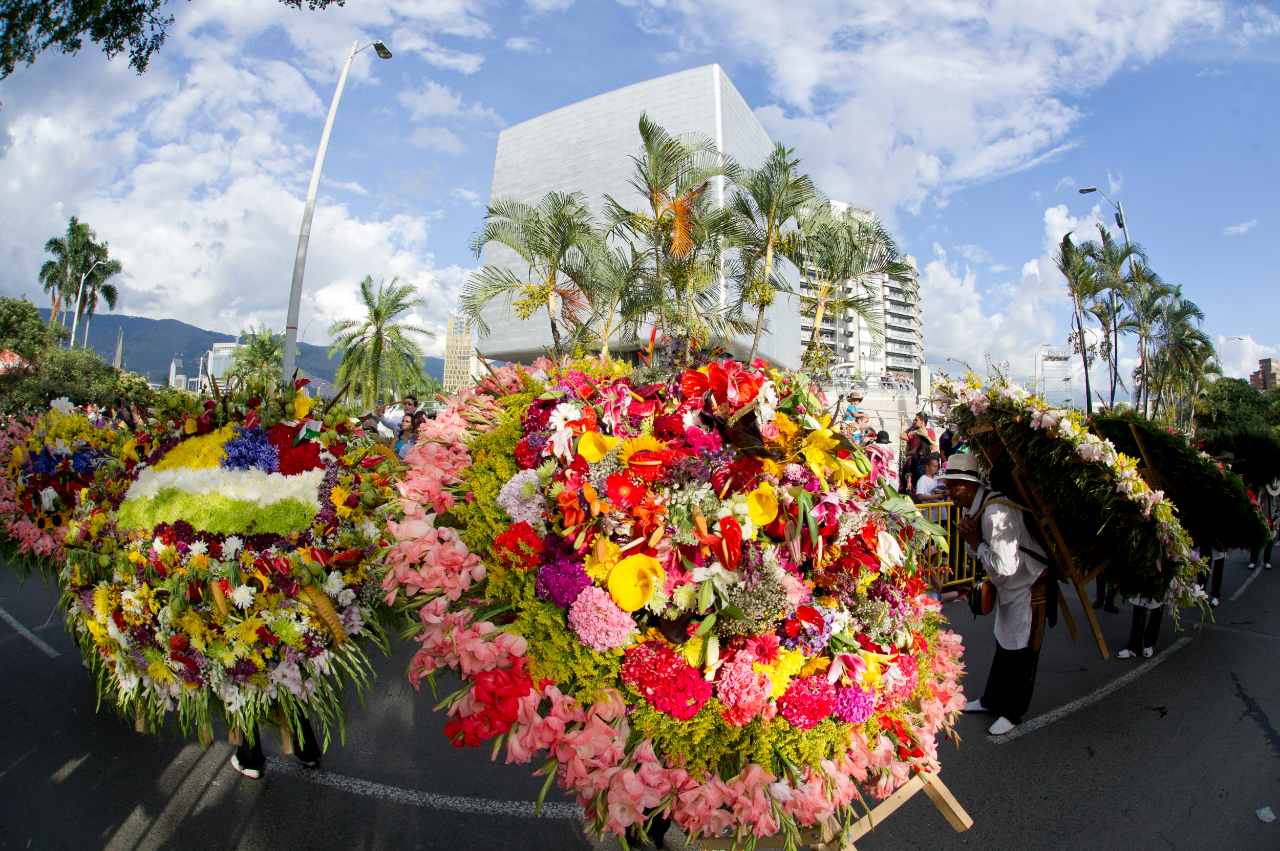 Desfile de silleteros en casa