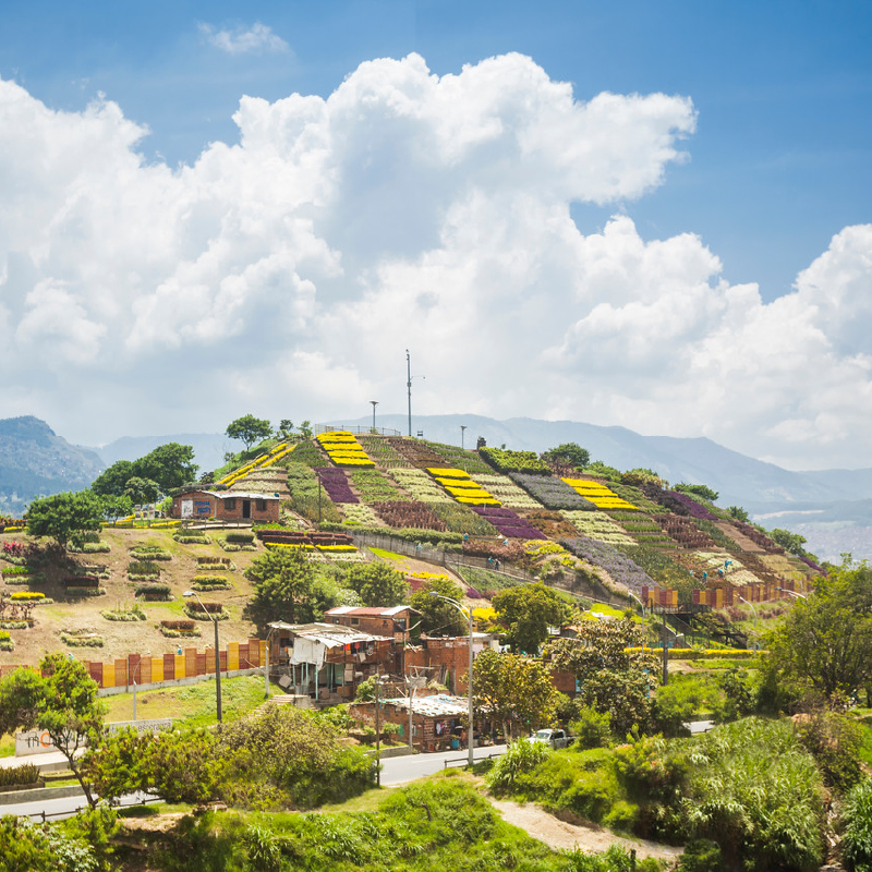 Moravia, el vibrante barrio de Medellín que transformó su basurero en jardín, por agencia EFE