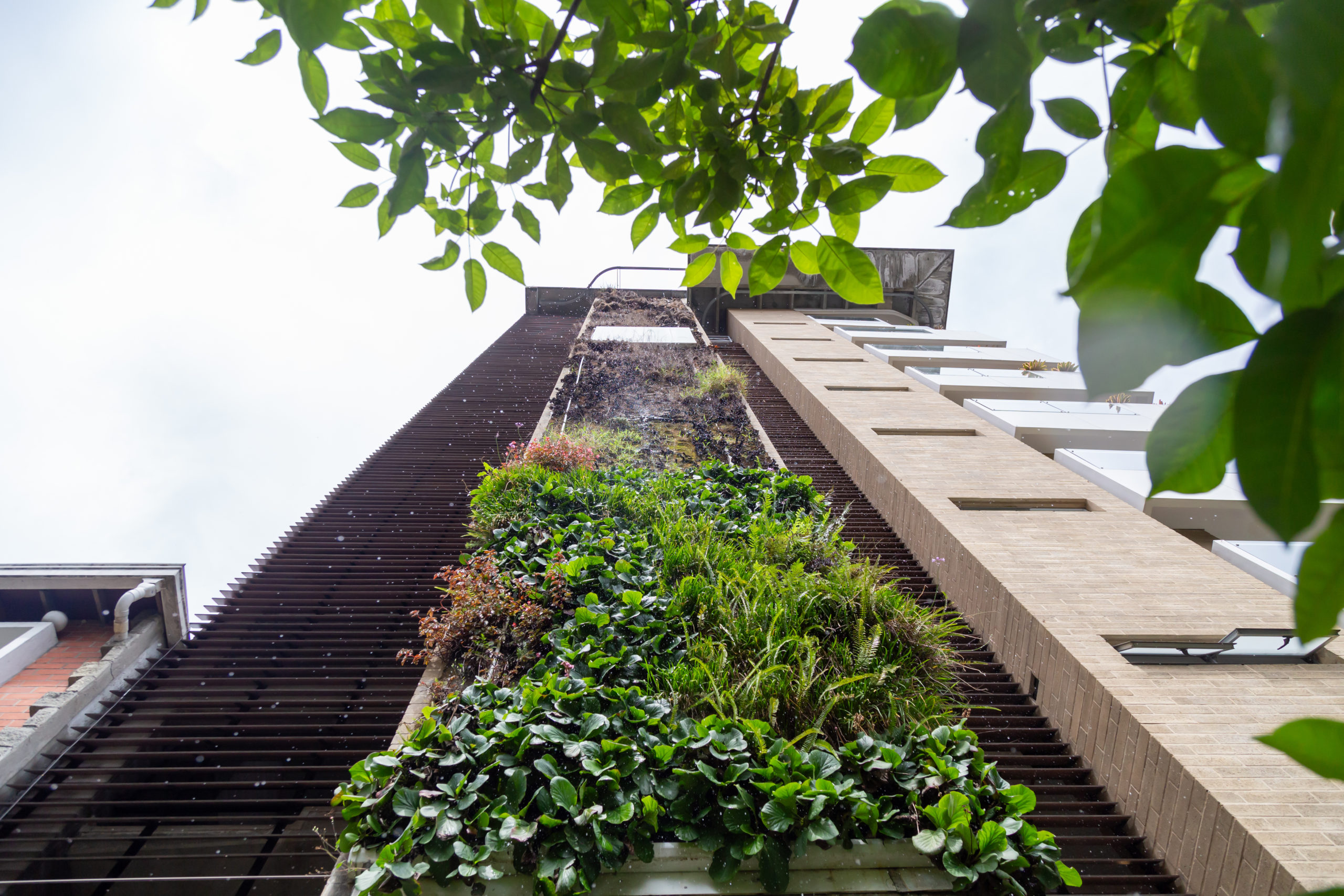 Descubriendo Terra BioHotel: un oasis de sostenibilidad y arte en Medellín