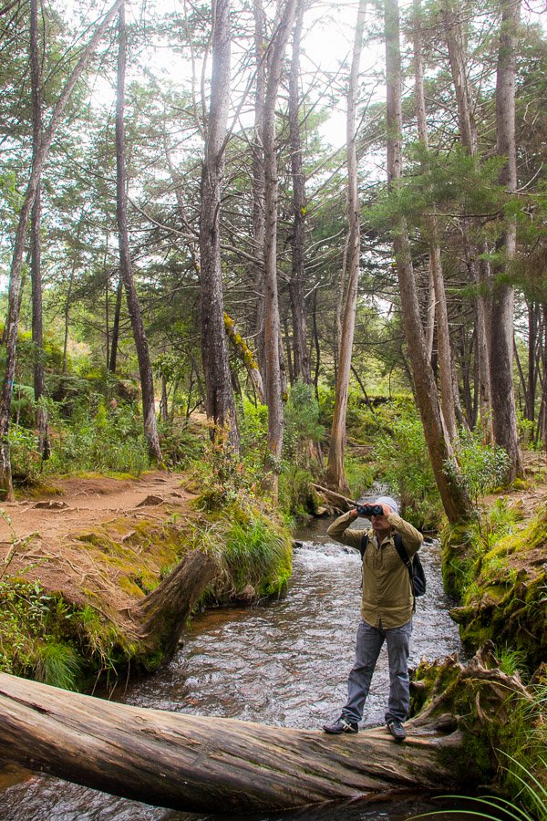 Turismo de Bienestar: Medellín sigue posicionándose entre los mercados más fuertes de Latinoamérica
